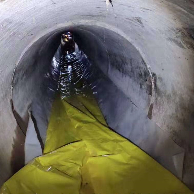 乐清管道光固化修复